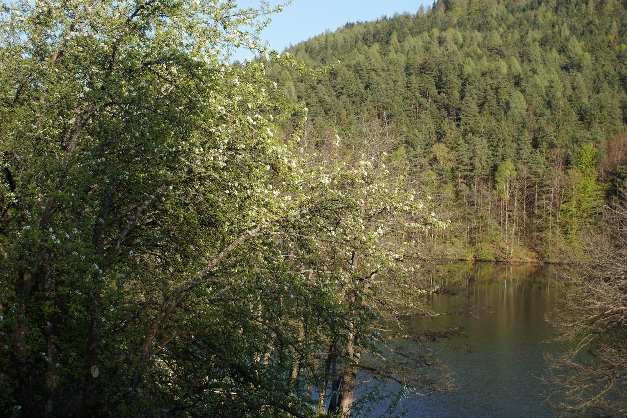 Landgasthof Trattnig Schiefling am See Quarto foto